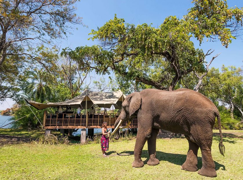 Elephant Café, Livingstone, Southern Province, Zambia